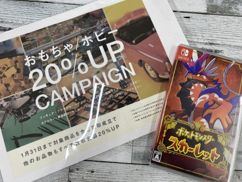 ゲームのゲームソフト