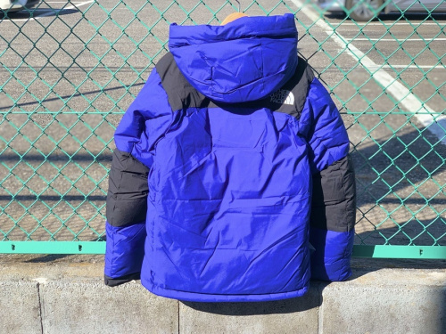 アウトドアのTHE NORTH FACE