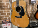 Headway（ヘッドウェイ）アコースティックギター HD-207を買取入荷致し