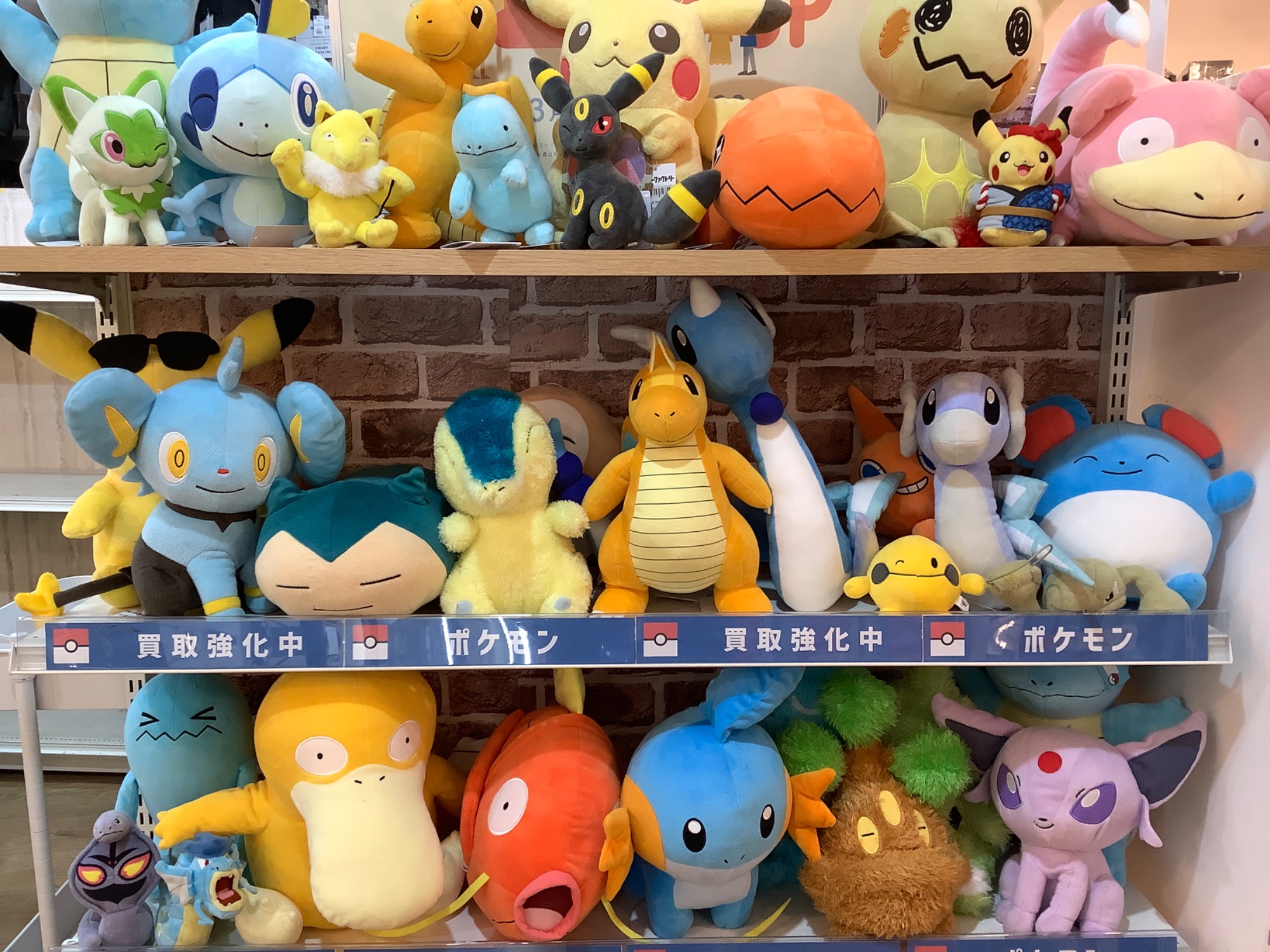 本日40点以上のポケモン 可愛いぬいぐるみを買取いたしました