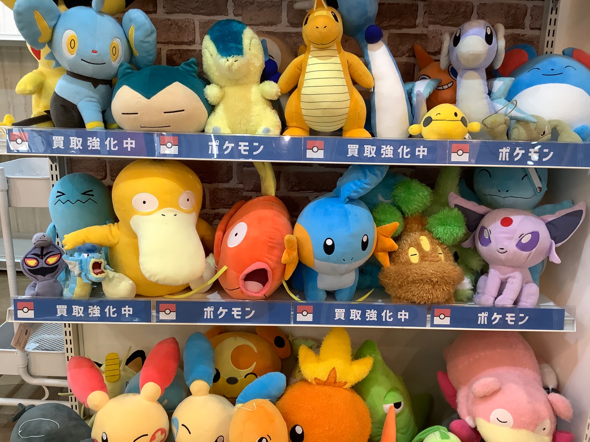 本日40点以上のポケモン 可愛いぬいぐるみを買取いたしました