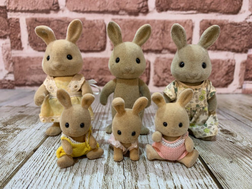 トレファクブログ画像2