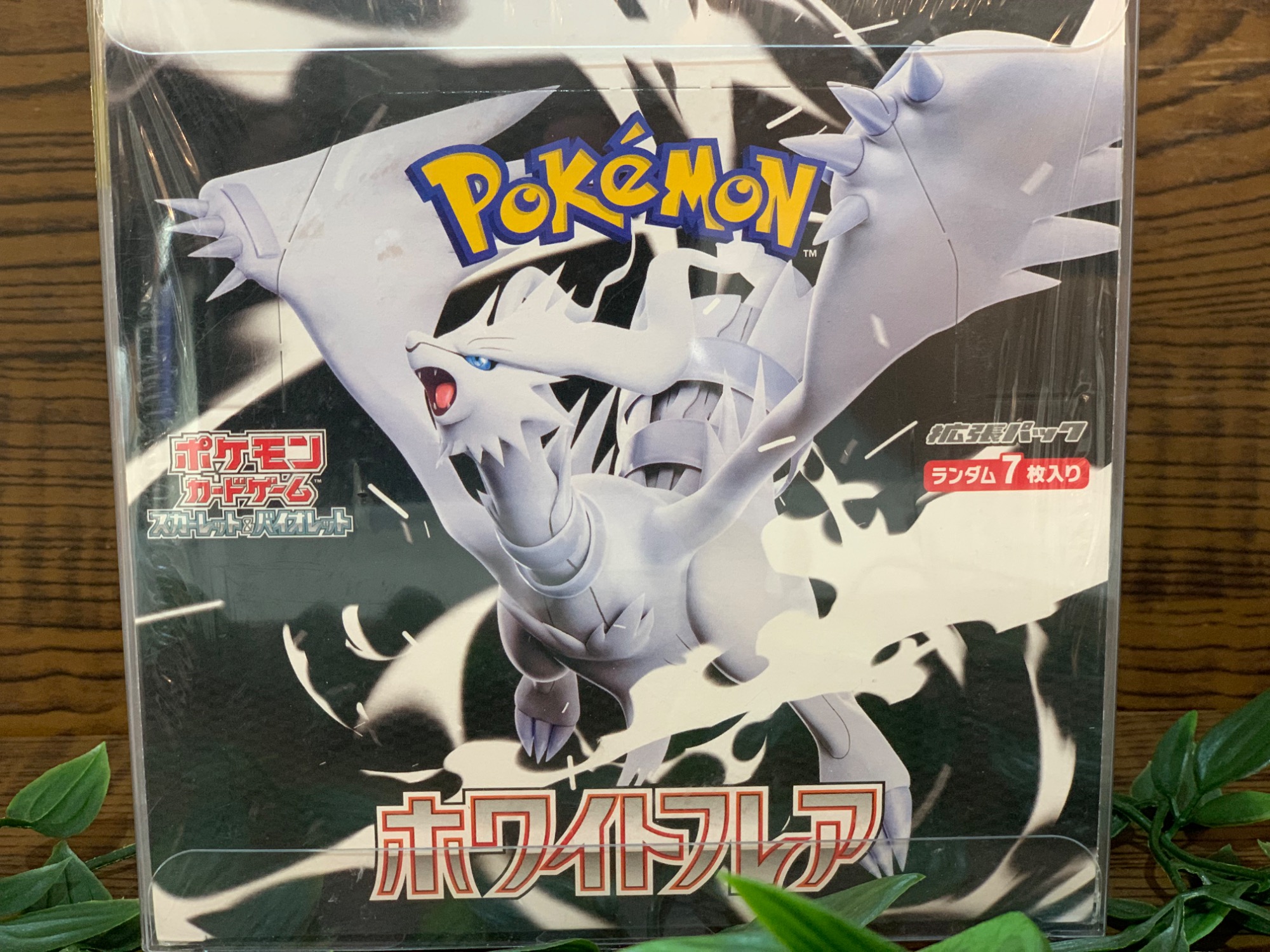 ポケモンカード ホワイトフレア 拡張パック BOX 買取入荷いたし