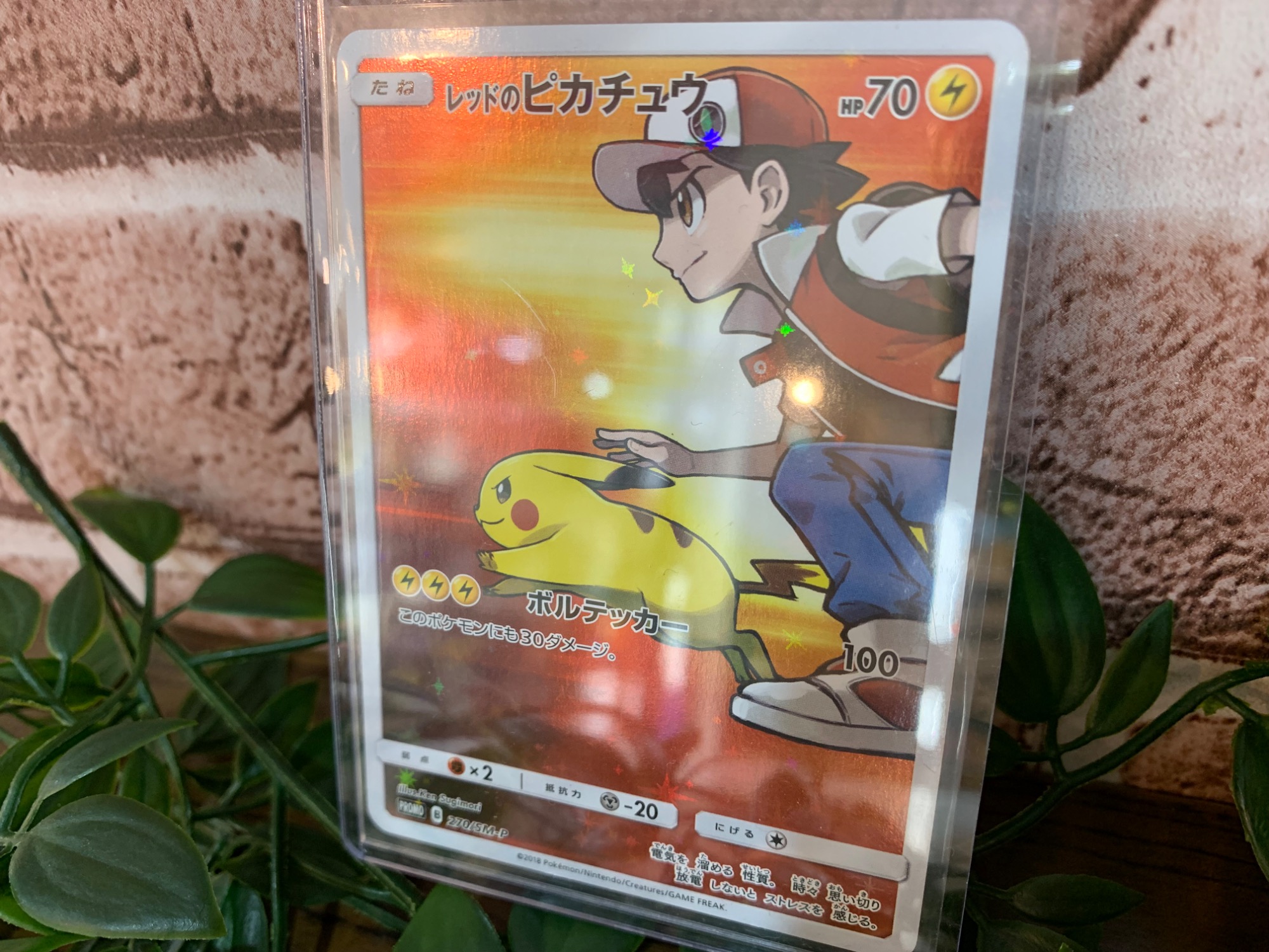 ポケモンカード レッドのピカチュウ 270/SM-P 買取入荷致しまし