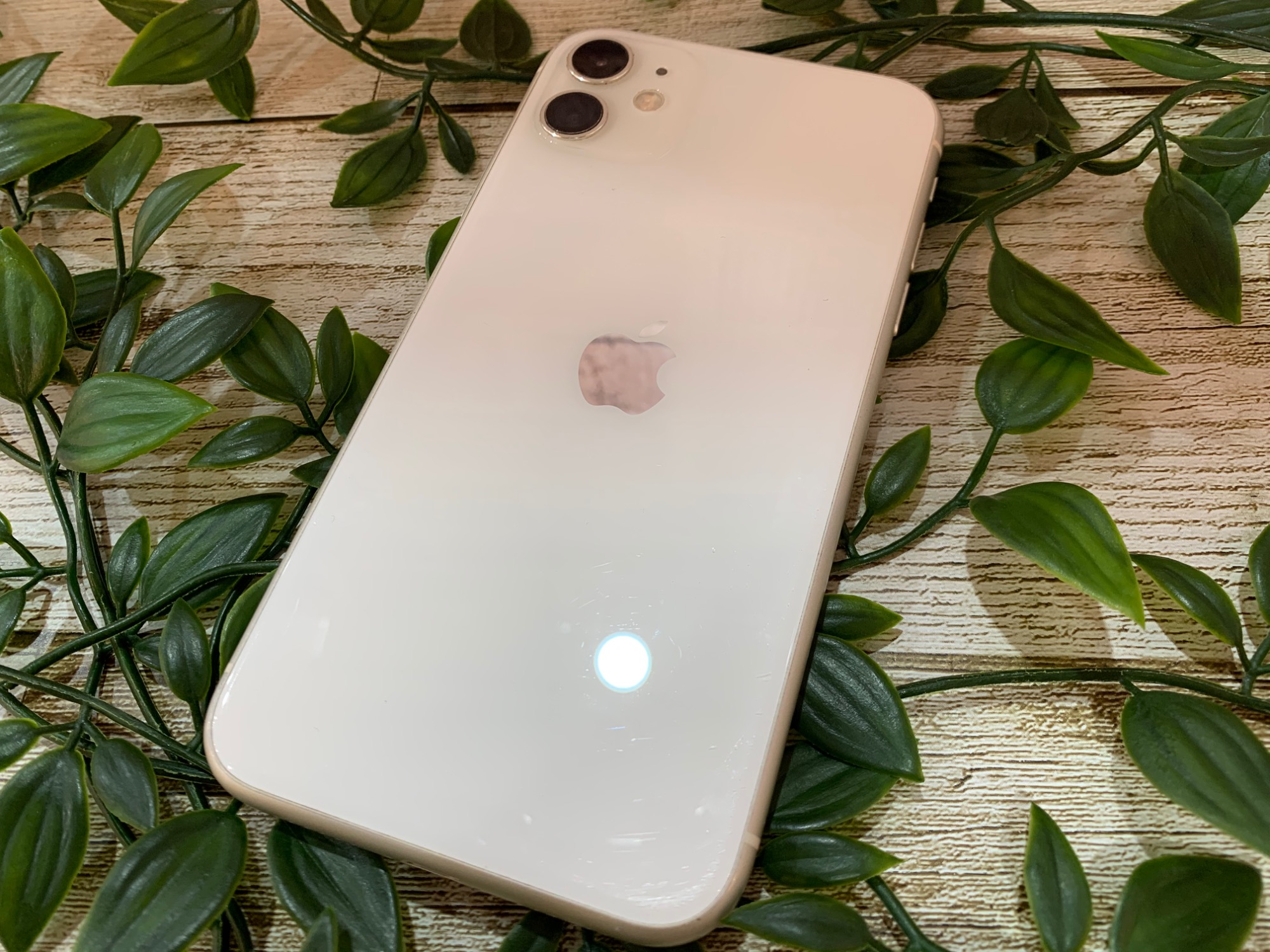 SoftBank Apple iPhone11 本体 ホワイト 64GB iPhone 11 iPhone11 64GB ホワイト SIMフリー 中古 本体 良品
