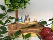 トレファク二俣川店ブログ