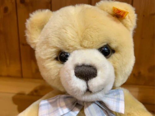 テディベアの二俣川 おもちゃ