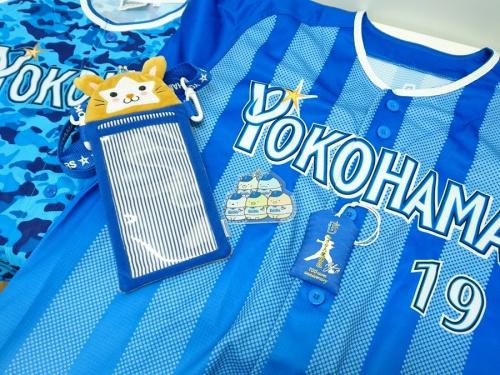 スポーツ用品の野球