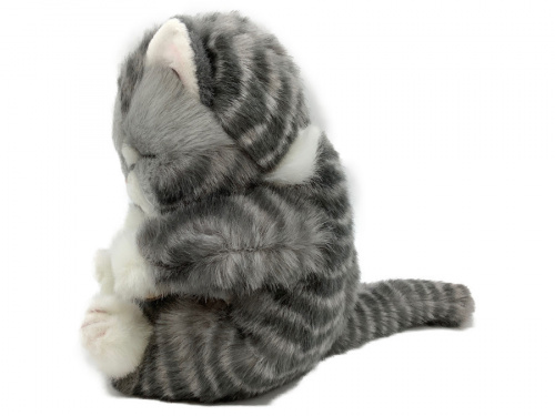 猫の二俣川 ホビー