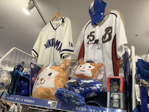 20年10月12日:画像10