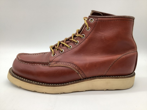 アイリッシュセッターのRED WING