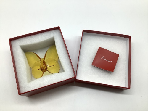 21年02月05日：画像７