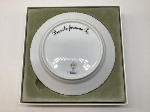 二俣川 食器
