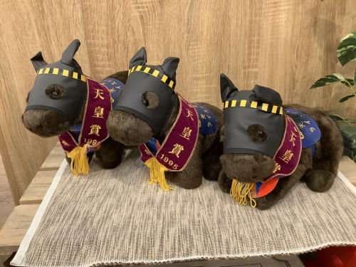 ヌイグルミのAVANTI