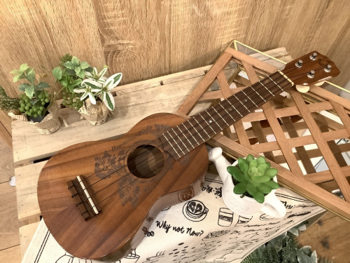 楽器の弦楽器