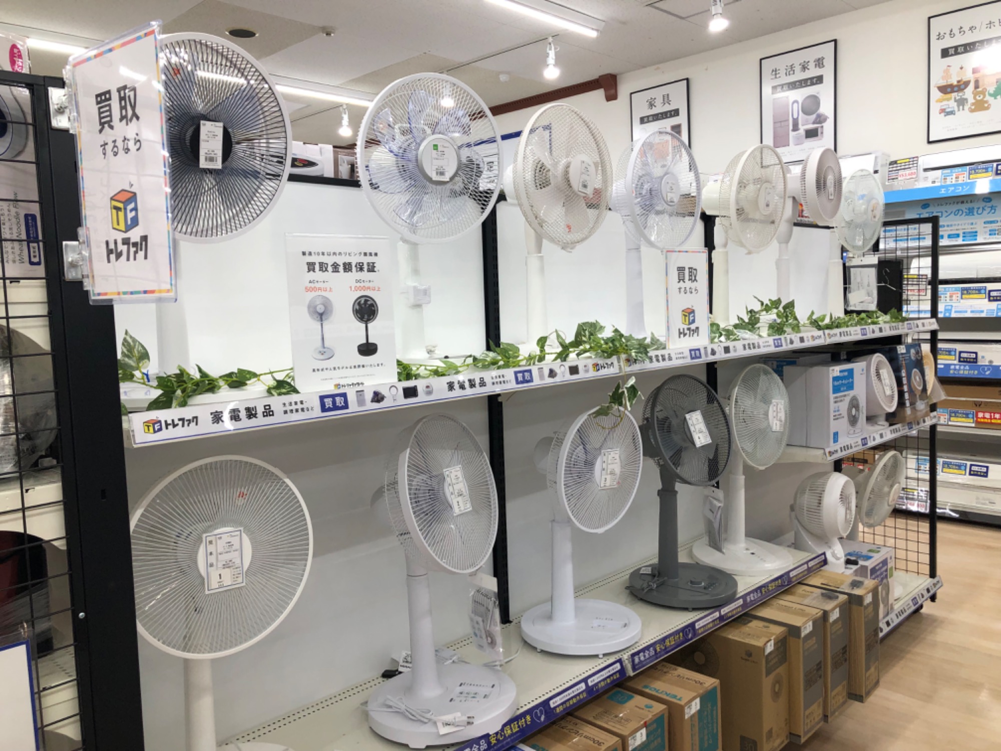 中古家電多数展開中】当店オススメの扇風機を2点ご紹介します！｜2024