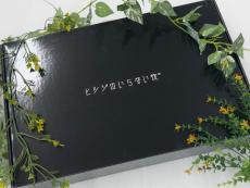 トレファク東大阪箕輪店ブログ