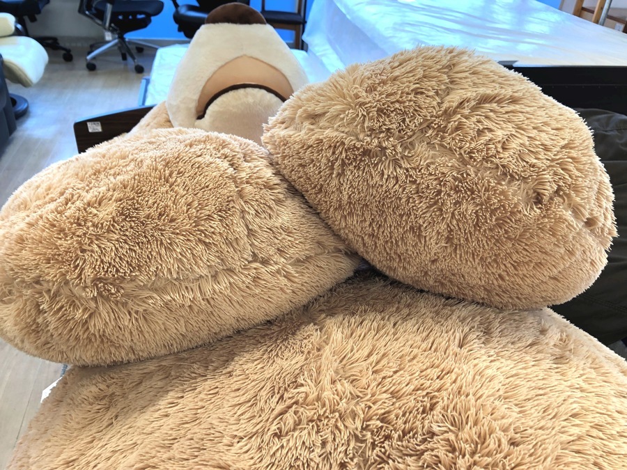 COSTCO(コストコ)のクマのぬいぐるみを入荷しました！｜2022年07月07日