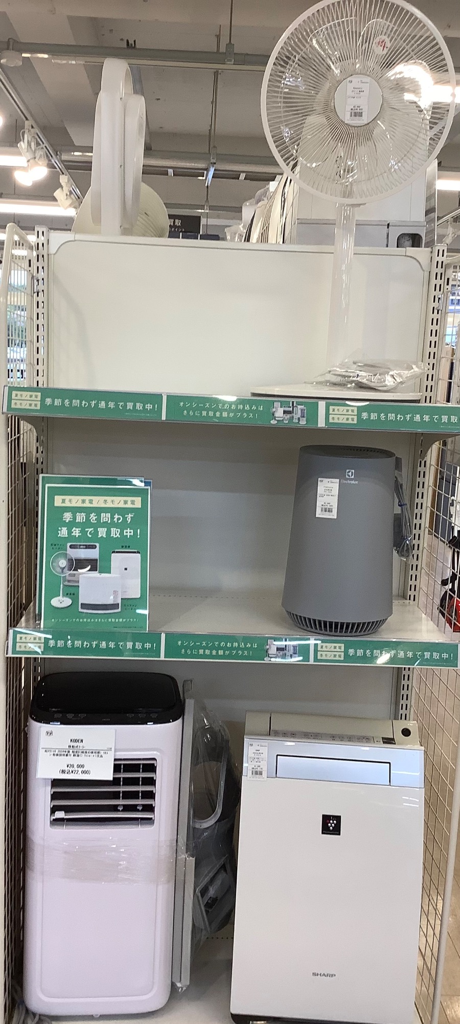 SHARP加湿空気清浄機のご紹介です！！｜2025年09月28日｜リサイクル