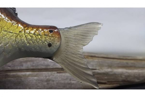 SIGNAL シグナルの釣具 買取 福岡
