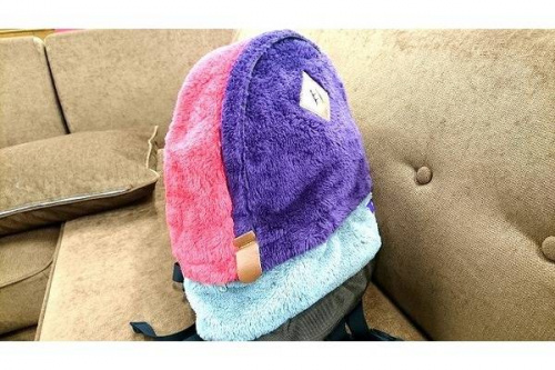 リュックのＴＨＥ　ＮＯＲＴＨ　ＦＡＣＥ　ザ　ノース　フェイス