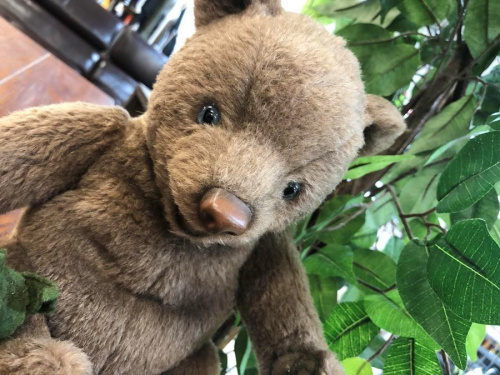 ホビーのテディベア