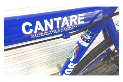 自転車のGIOS
