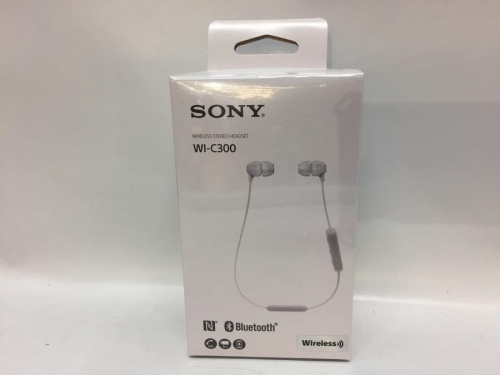 オーディオのイヤホン