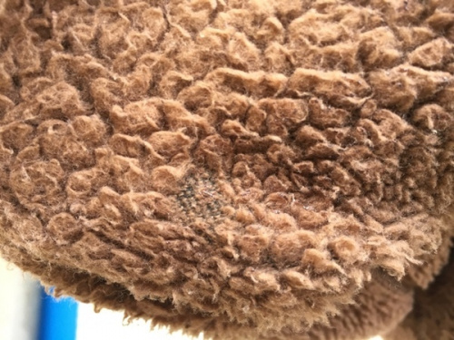 クラシックレトロXジャケットのPatagonia