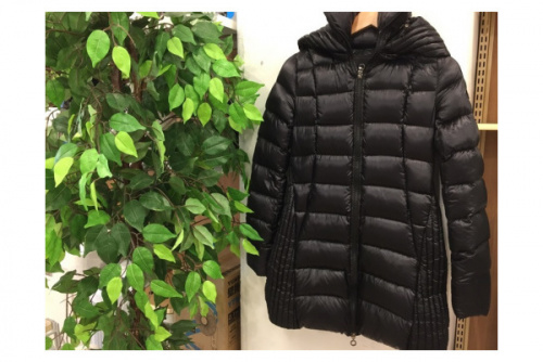 ダウン　買取　福岡のリサイクルショップ　福岡