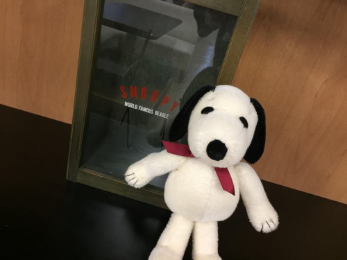 限定品のスヌーピー