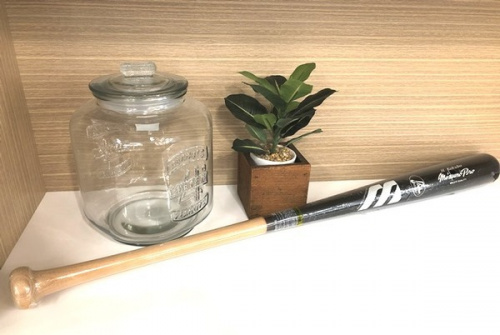 スポーツの野球