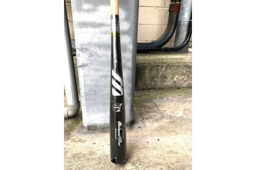 バットのMIZUNO PRO（ミズノ プロ）