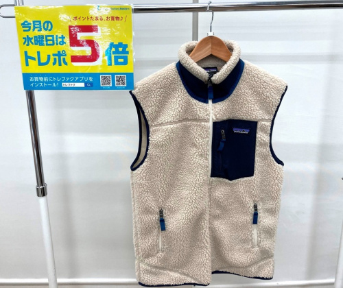 Patagonia（パタゴニア）のTHE NORTH FACE（ザ･ノース･フェイス）