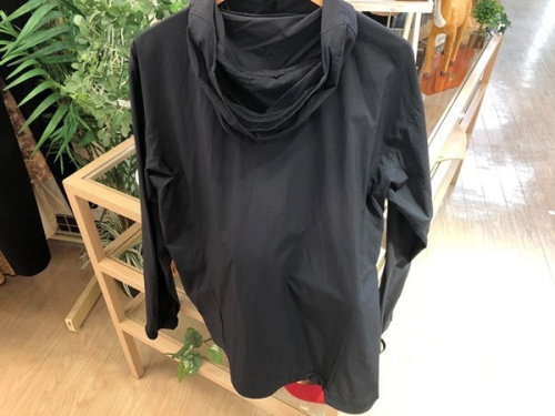 メンズのARC'TERYX(アークテリクス)