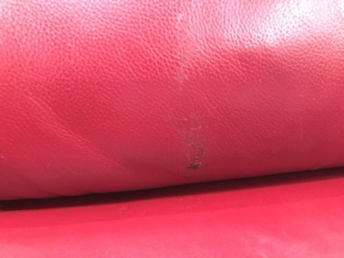 21年09月25日：画像７