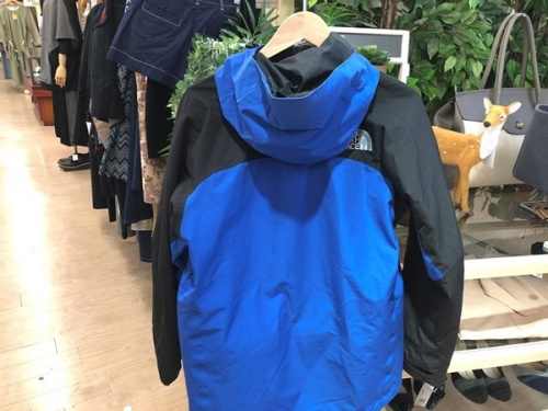 マウンテンジャケットのTHE NORTH FACE