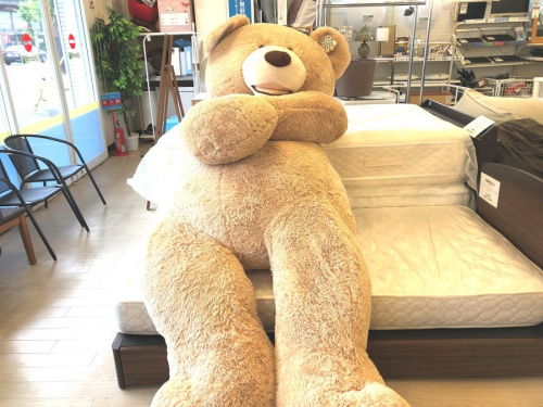 ぬいぐるみの巨大ぬいぐるみ