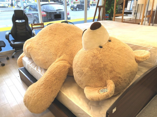 巨大ぬいぐるみの福岡リサイクルショップ