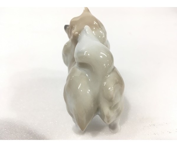 リヤドロから可愛らしいポメラニアン買取入荷！【横浜青葉店
