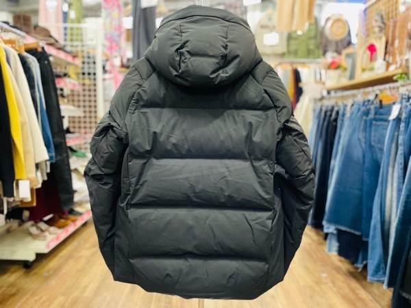 Descente ALLTERRAIN（デサントオルテライン）の水沢ダウン
