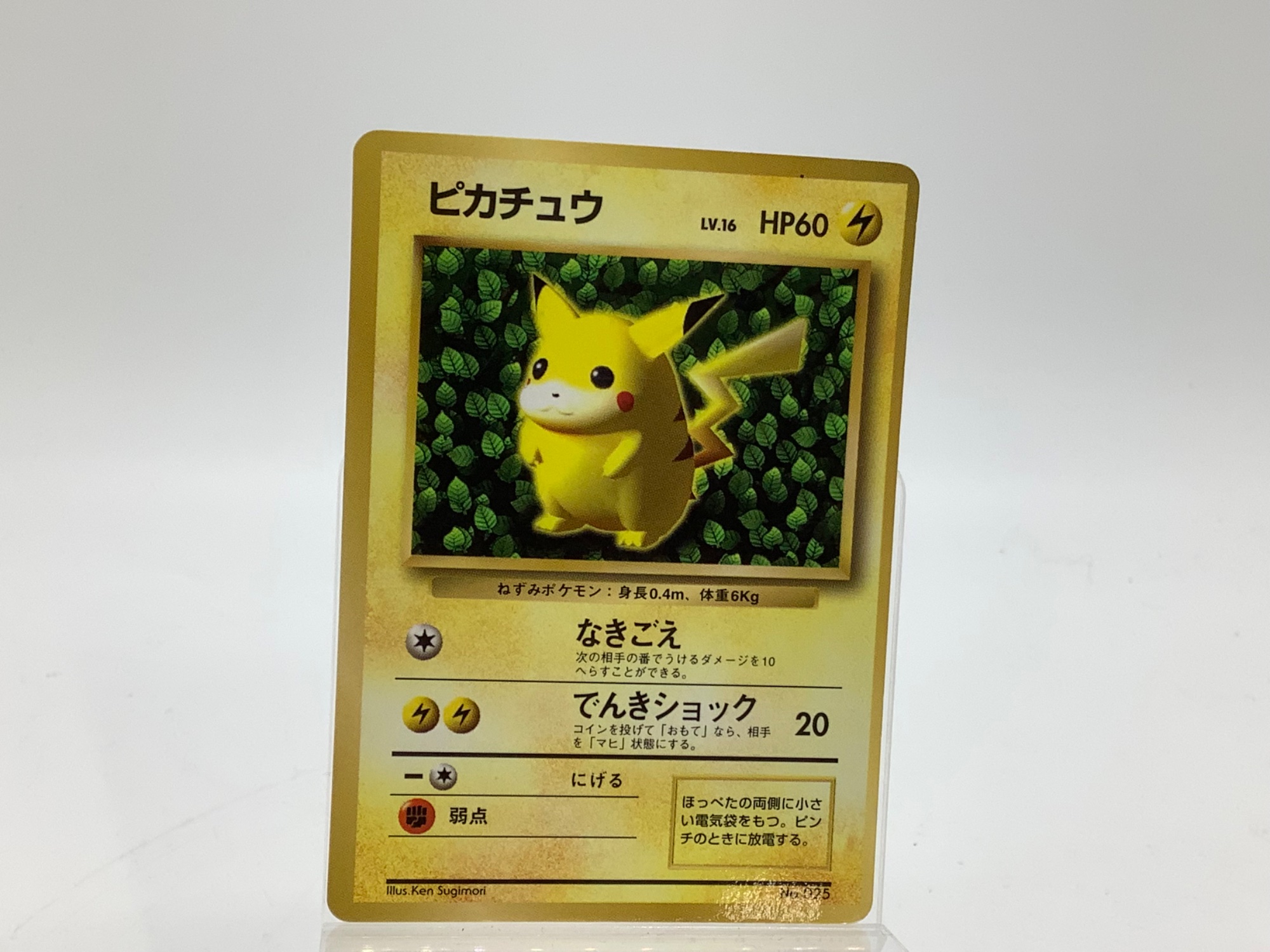 ポケットモンスター / ポケットモンスター】ピカチュウ LV.16 コロコロ