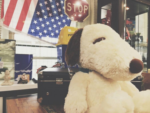 17年06月29日：画像１０