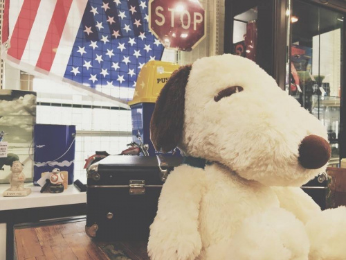 17年07月04日：画像１０