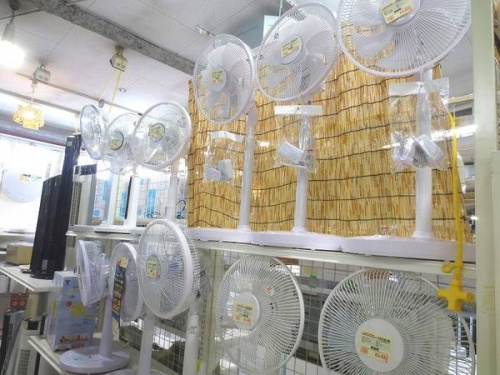 大特価の青葉
