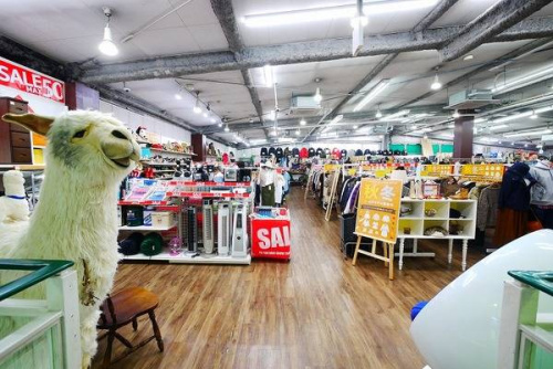 17年08月11日：画像８