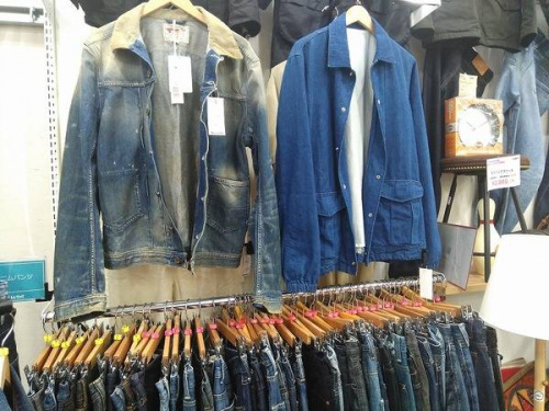 秋物衣類の青葉