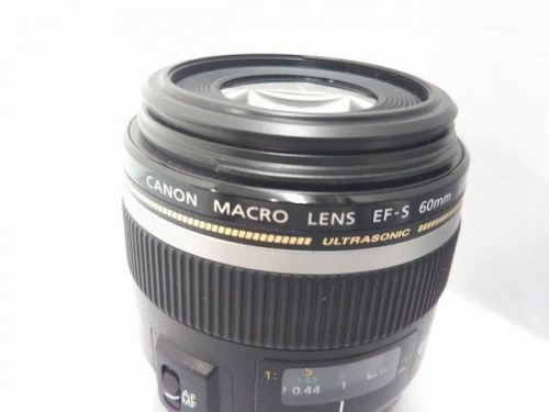 キャノン(Canon)の青葉