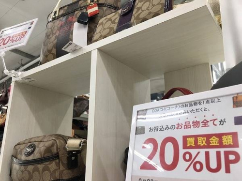 20%UPの青葉