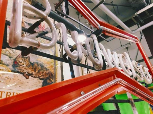 アメリカ雑貨のBudweiser